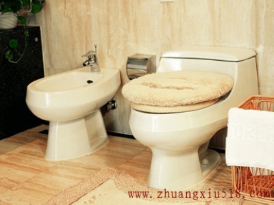 抽水马桶结构图解决马桶堵塞的四个小方法