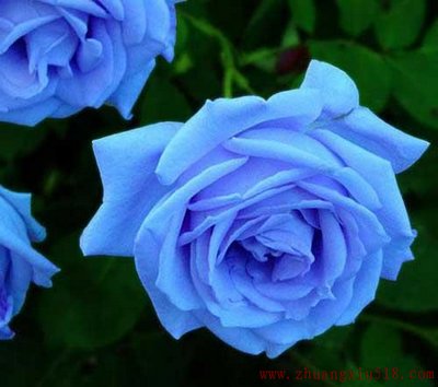 /zx518-zxzs/UploadPic/2016-3a/201631362510395.jpg