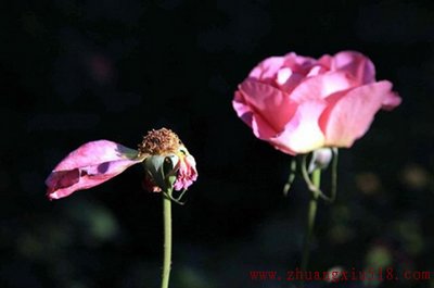 ֮⣬֮Сõķˮ