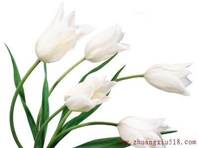 Ҿ6λʻڷŷˮ֪ʶ