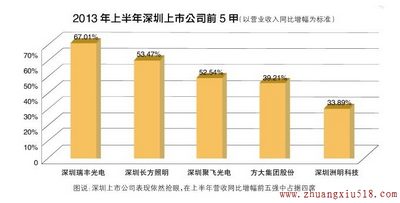 照明上市公司华丽半年报背后藏隐忧