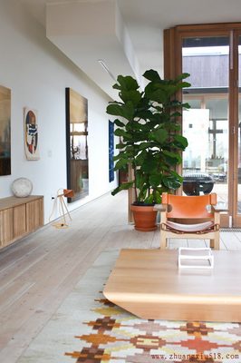绿植空间