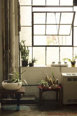 绿植空间