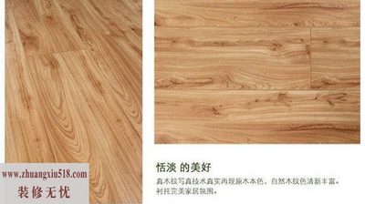 三款淡色系强化地板推荐 打造小清新简约客厅