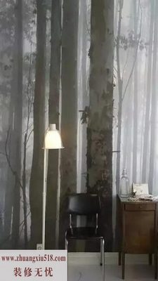3DӾЧǽ ÿռøʸ
