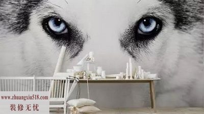 3DӾЧǽ ÿռøʸ