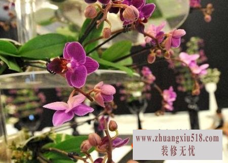家居阳台装修效果图