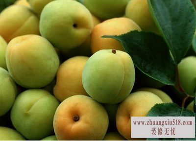 杏子的功效与作用