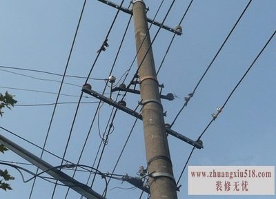 架空电缆规格
