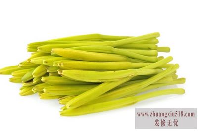 黄花菜种苗 黄花菜种苗
