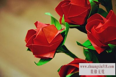 花的折法大全 花的折法大全
