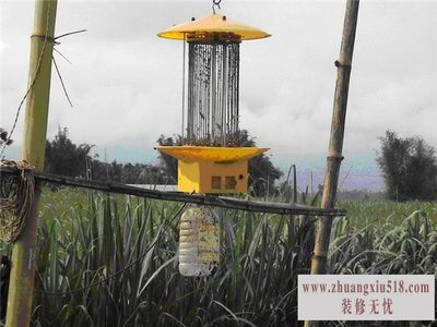 黑光灯型号