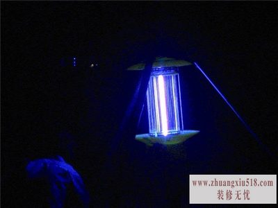 黑光灯型号