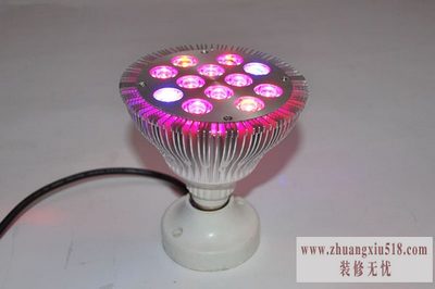 植物灯 植物灯