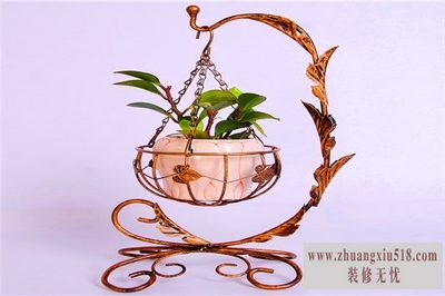 ռӹ