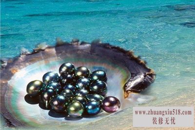 大溪地黑珍珠价格