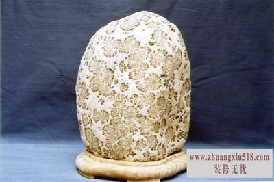 菊花石价格