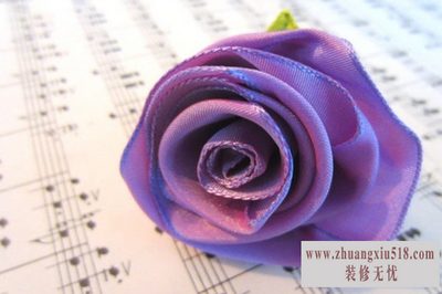 缎带花