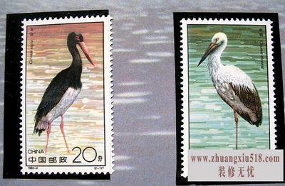 集邮册制作
