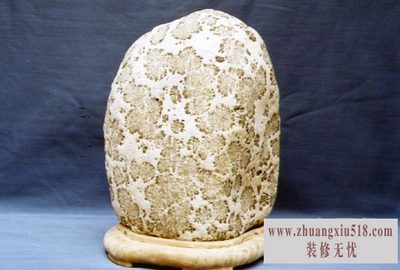 菊花石图片