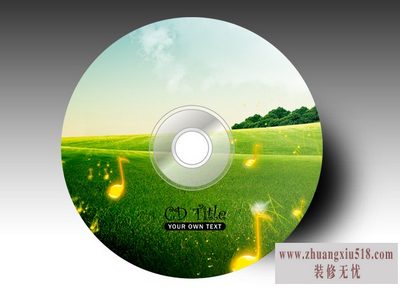 dvd为什么不能播放