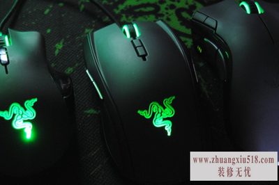 地狱狂蛇和炼狱蝰蛇哪个好