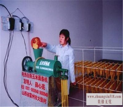 玉米面条机说明书