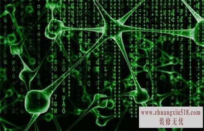计算机病毒的分类