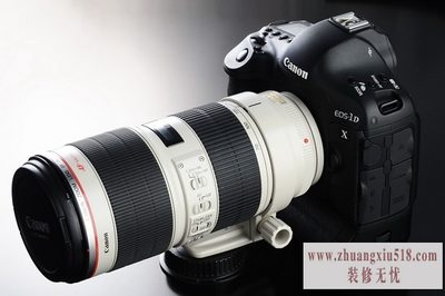 佳能1dx和5d3