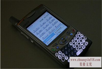 palmֻˢ