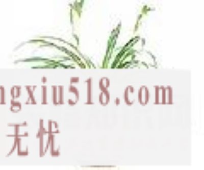 花草净化空气