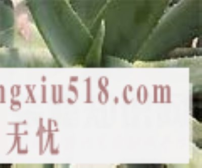 花草净化空气