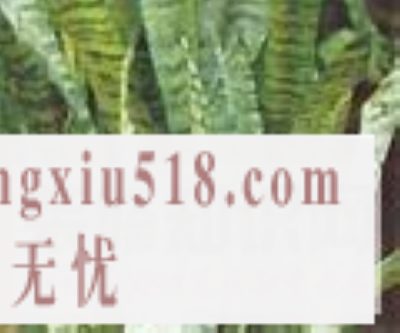 花草净化空气