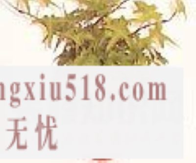 花草净化空气